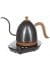 Чайник Brewista Стальной Электрический Artisan Gooseneck 600ml Gunmetal Grey Чайник Brewista Стальной Электрический Artisan Gooseneck 600ml Gunmetal Grey