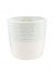 Кружка Loveramics (Лаврамикс) Dale Haris 200ml Celadon Blue, голубая Кружка Loveramics (Лаврамикс) Dale Haris 200ml Celadon Blue, голубая